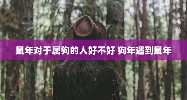 鼠年对于属狗的人好不好 狗年遇到鼠年