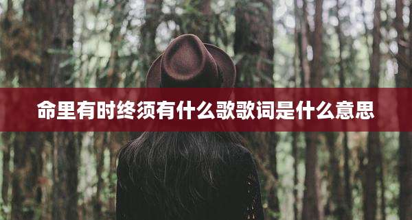 命里有时终须有什么歌歌词是什么意思