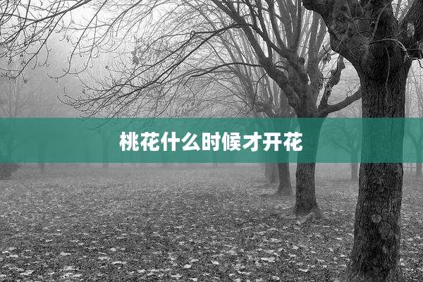 桃花什么时候才开花