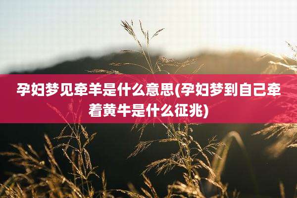 孕妇梦见牵羊是什么意思(孕妇梦到自己牵着黄牛是什么征兆)