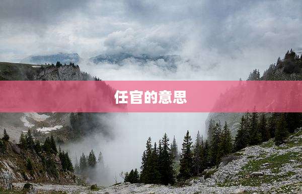 任官的意思