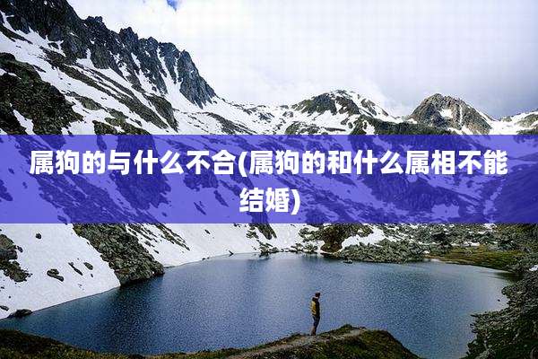 属狗的与什么不合(属狗的和什么属相不能结婚)