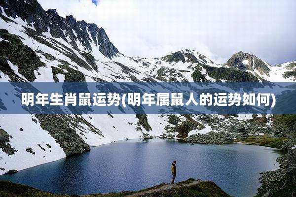 明年生肖鼠运势(明年属鼠人的运势如何)