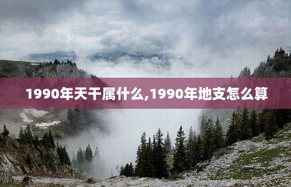 1990年天干属什么,1990年地支怎么算