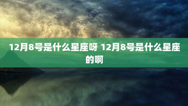 12月8号是什么星座呀 12月8号是什么星座的啊