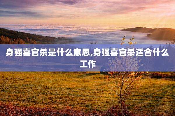身强喜官杀是什么意思,身强喜官杀适合什么工作
