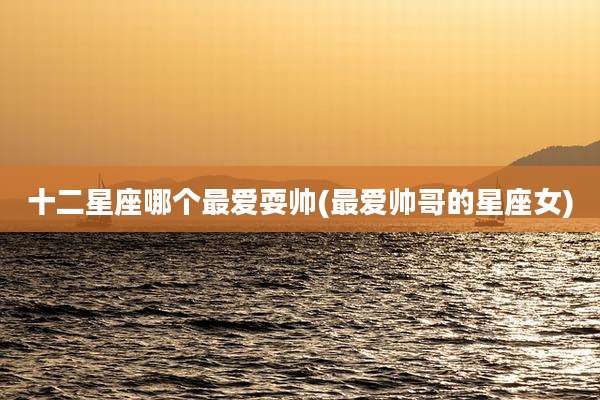 十二星座哪个最爱耍帅(最爱帅哥的星座女)