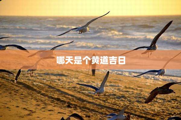 哪天是个黄道吉日
