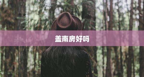盖南房好吗