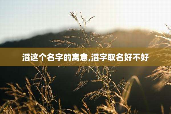 滔这个名字的寓意,滔字取名好不好