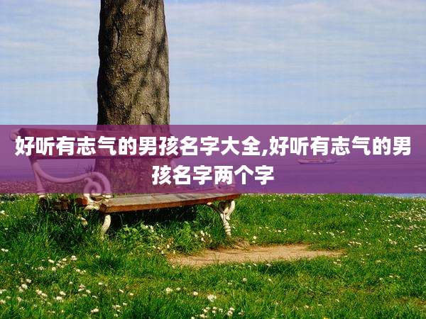 好听有志气的男孩名字大全,好听有志气的男孩名字两个字