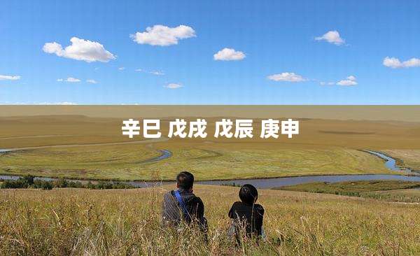 辛巳 戊戌 戊辰 庚申
