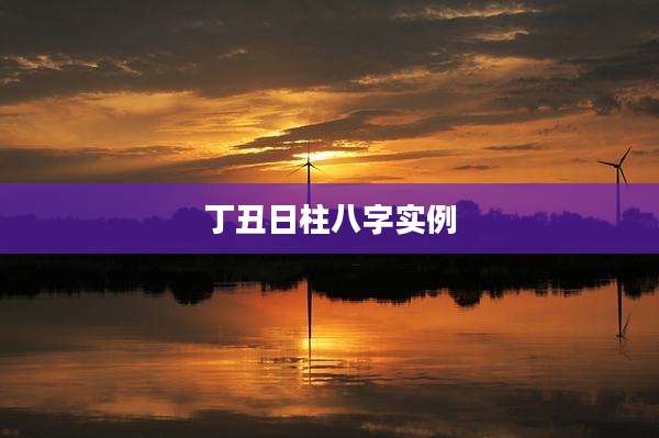丁丑日柱八字实例