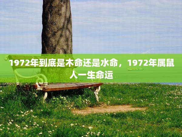 1972年到底是木命还是水命，1972年属鼠人一生命运