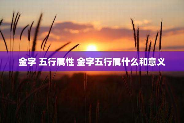 金字 五行属性 金字五行属什么和意义