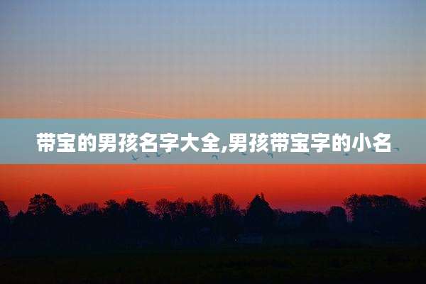 带宝的男孩名字大全,男孩带宝字的小名