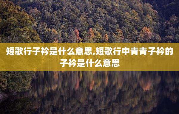 短歌行子衿是什么意思,短歌行中青青子衿的子衿是什么意思