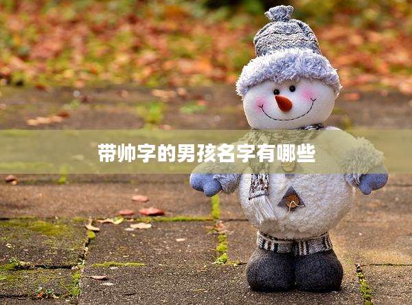 带帅字的男孩名字有哪些