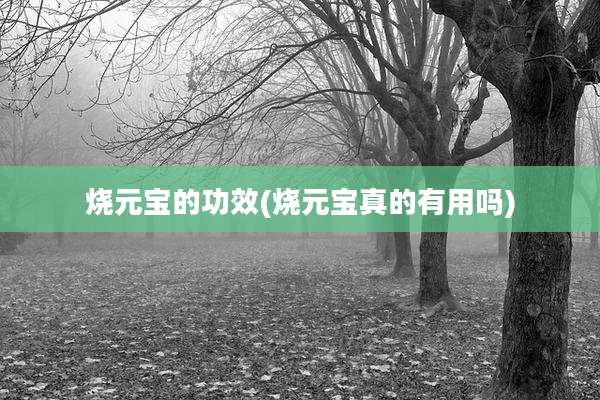 烧元宝的功效(烧元宝真的有用吗)