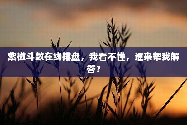 紫微斗数在线排盘，我看不懂，谁来帮我解答？