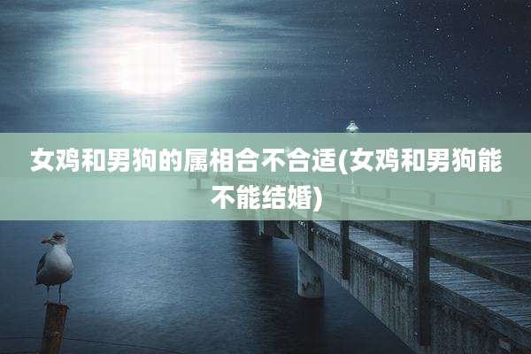 女鸡和男狗的属相合不合适(女鸡和男狗能不能结婚)