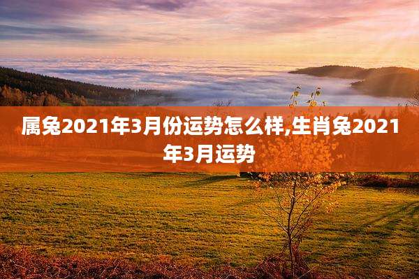 属兔2021年3月份运势怎么样,生肖兔2021年3月运势