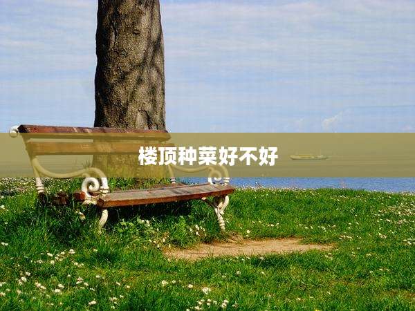 楼顶种菜好不好