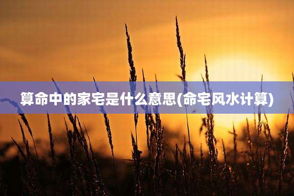 算命中的家宅是什么意思(命宅风水计算)