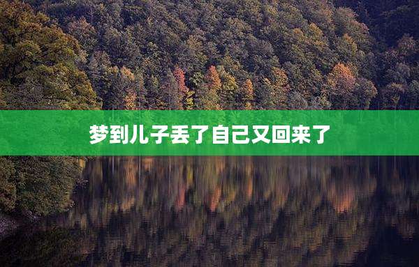 梦到儿子丢了自己又回来了