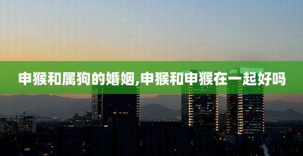 申猴和属狗的婚姻,申猴和申猴在一起好吗