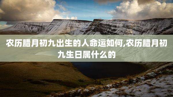 农历腊月初九出生的人命运如何,农历腊月初九生日属什么的