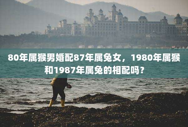 80年属猴男婚配87年属兔女，1980年属猴和1987年属兔的相配吗？