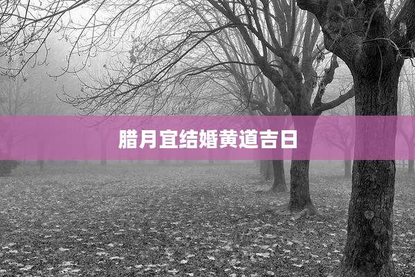 腊月宜结婚黄道吉日