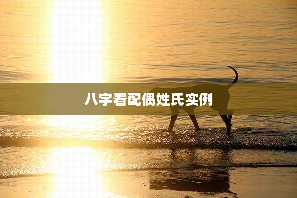 八字看配偶姓氏实例