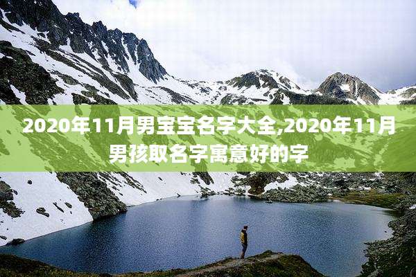 2020年11月男宝宝名字大全,2020年11月男孩取名字寓意好的字