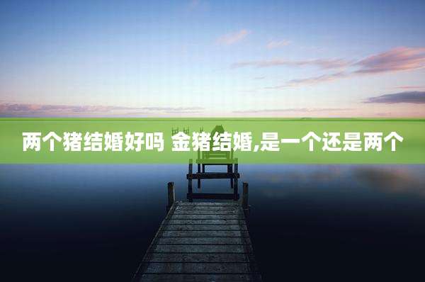 两个猪结婚好吗 金猪结婚,是一个还是两个