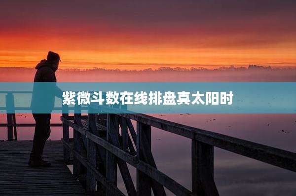 紫微斗数在线排盘真太阳时
