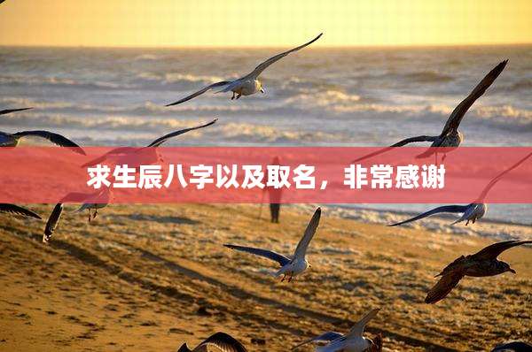 求生辰八字以及取名，非常感谢