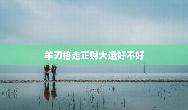 羊刃格走正财大运好不好