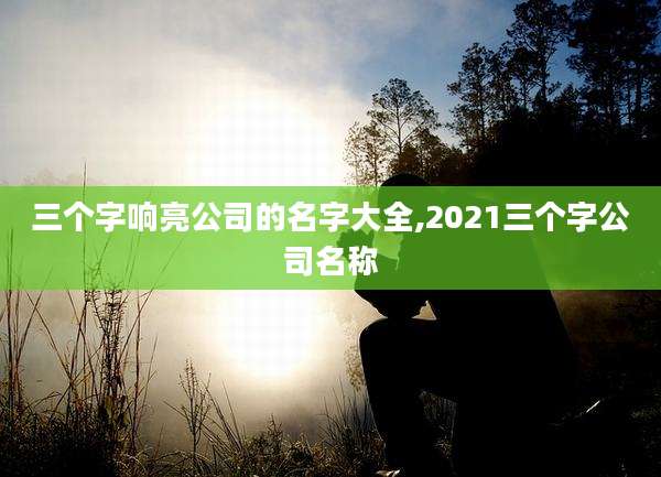 三个字响亮公司的名字大全,2021三个字公司名称