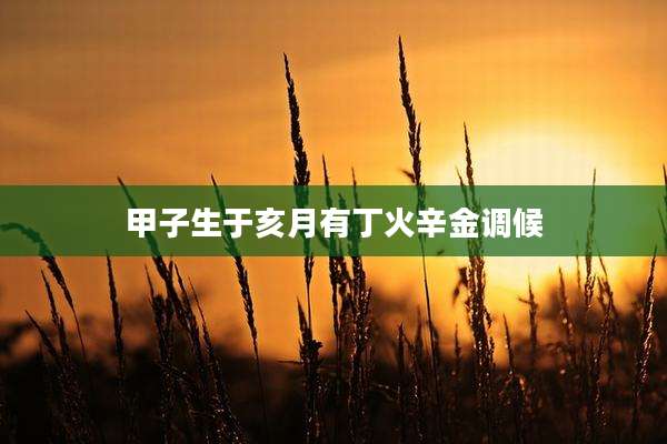 甲子生于亥月有丁火辛金调候