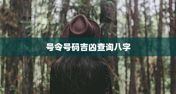 号令号码吉凶查询八字