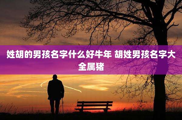 姓胡的男孩名字什么好牛年 胡姓男孩名字大全属猪