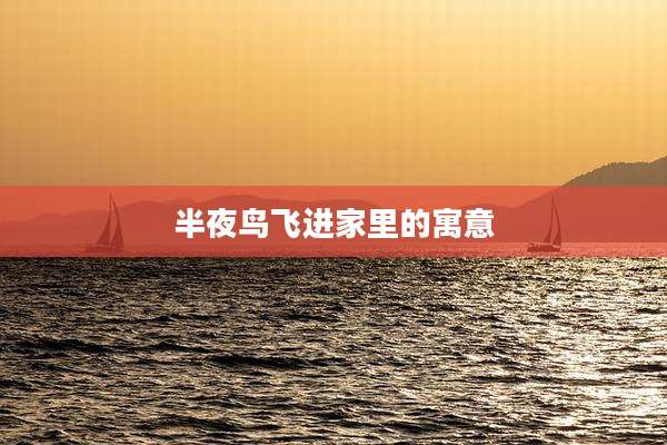 半夜鸟飞进家里的寓意