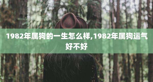 1982年属狗的一生怎么样,1982年属狗运气好不好