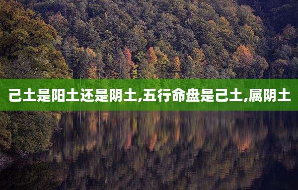 己土是阳土还是阴土,五行命盘是己土,属阴土