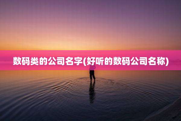 数码类的公司名字(好听的数码公司名称)