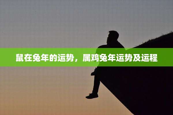 鼠在兔年的运势,属鸡兔年运势及运程