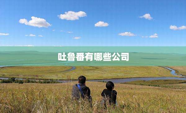 吐鲁番有哪些公司