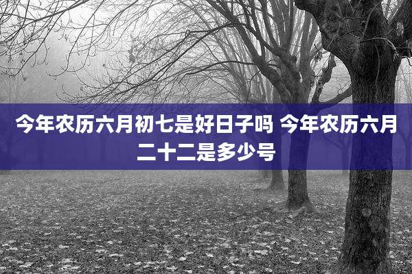 今年农历六月初七是好日子吗 今年农历六月二十二是多少号